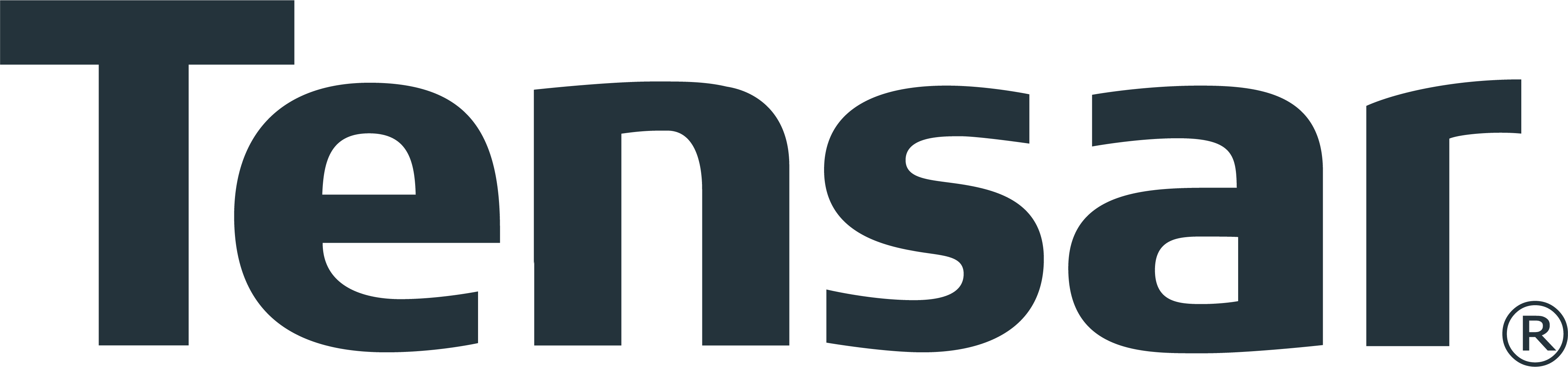www.tensarcorp.com